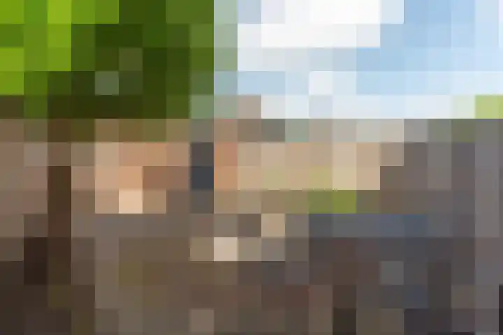 Toernooiveld 102 Almere thumbnail 33