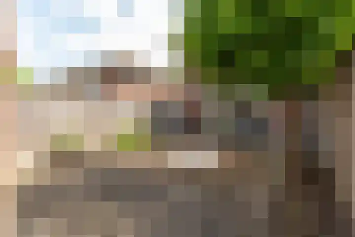 Toernooiveld 102 Almere thumbnail 34