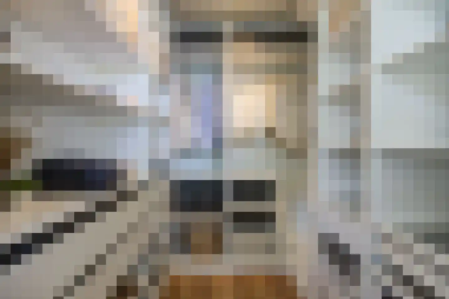 Toernooiveld 11 Etten-Leur thumbnail 36