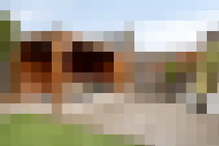 Toernooiveld 14 Etten-Leur thumbnail 40
