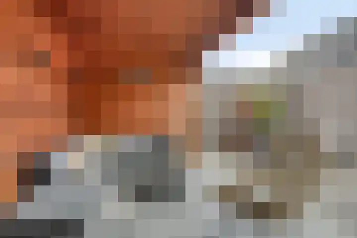 Toernooiveld 14 Etten-Leur thumbnail 41