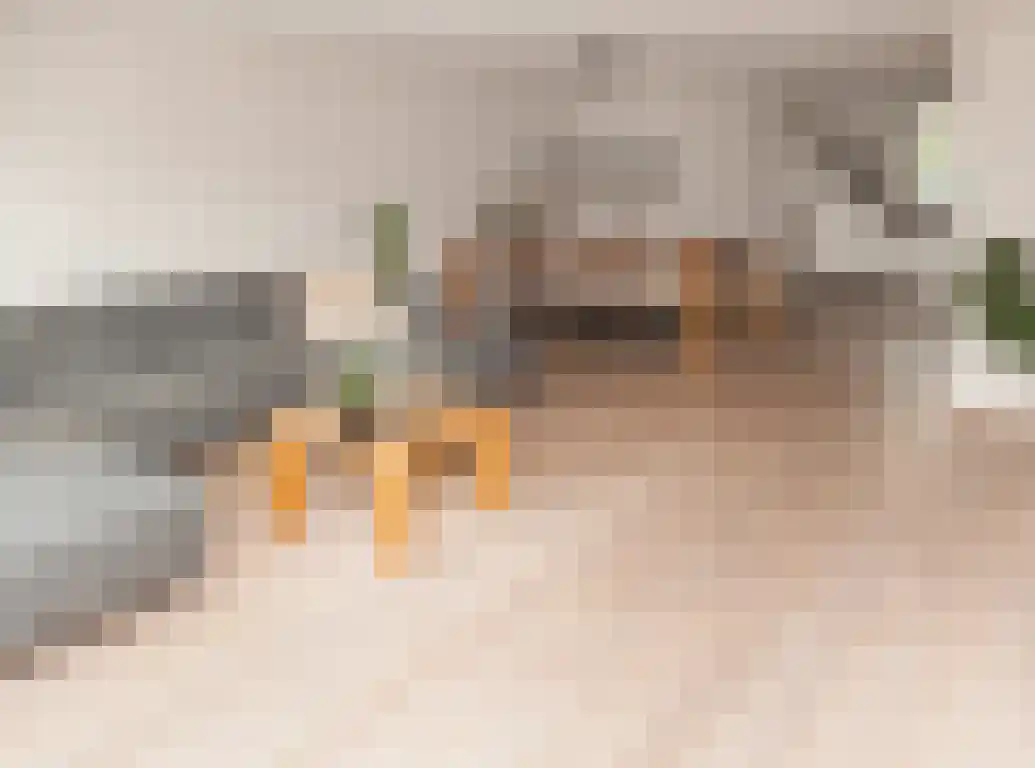 Toernooiveld 21 Etten-Leur thumbnail 8