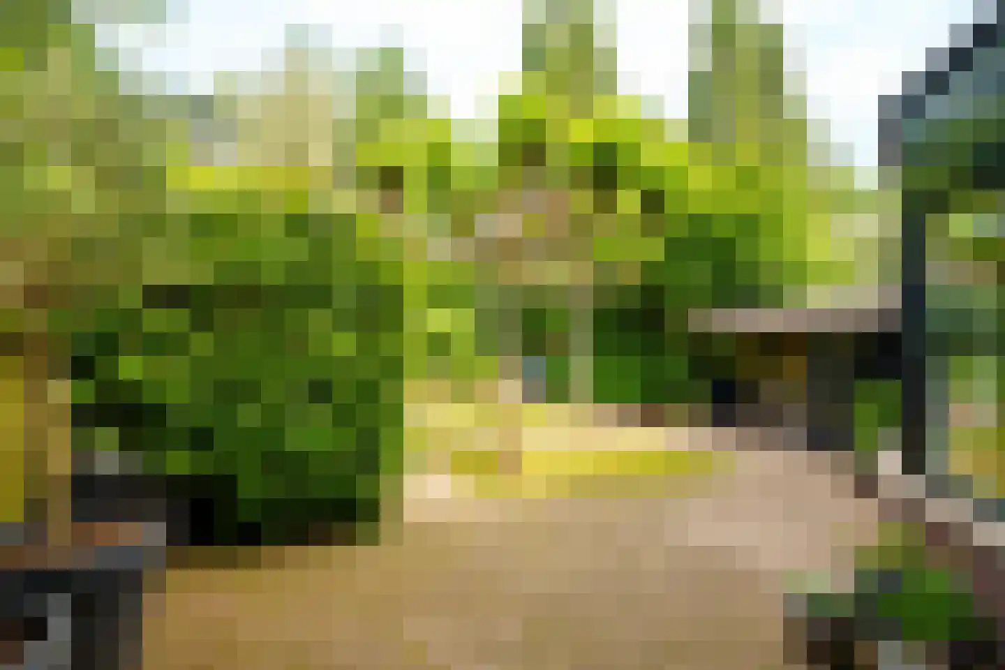 Toernooiveld 25 Almere thumbnail 31