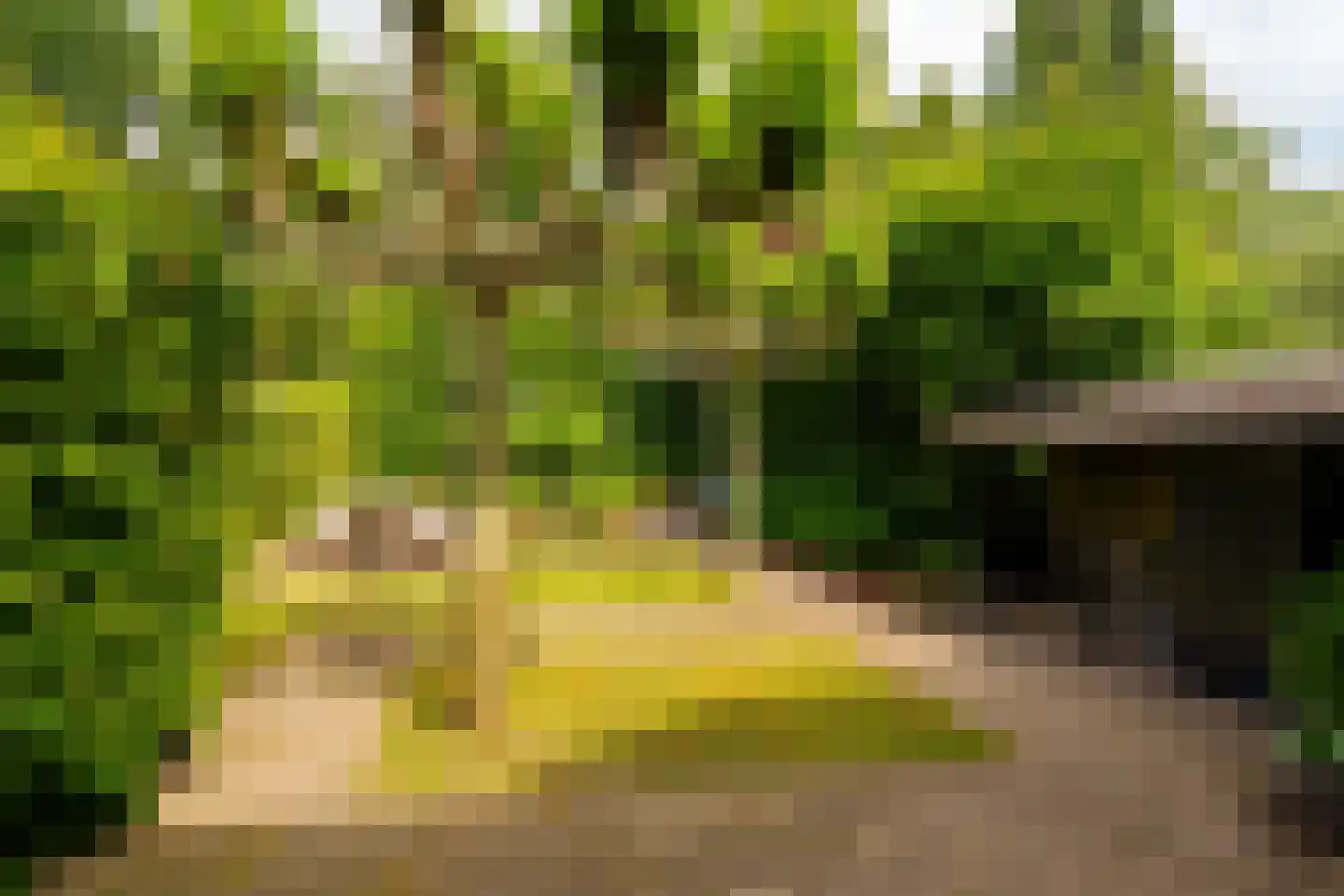 Toernooiveld 25 Almere thumbnail 32