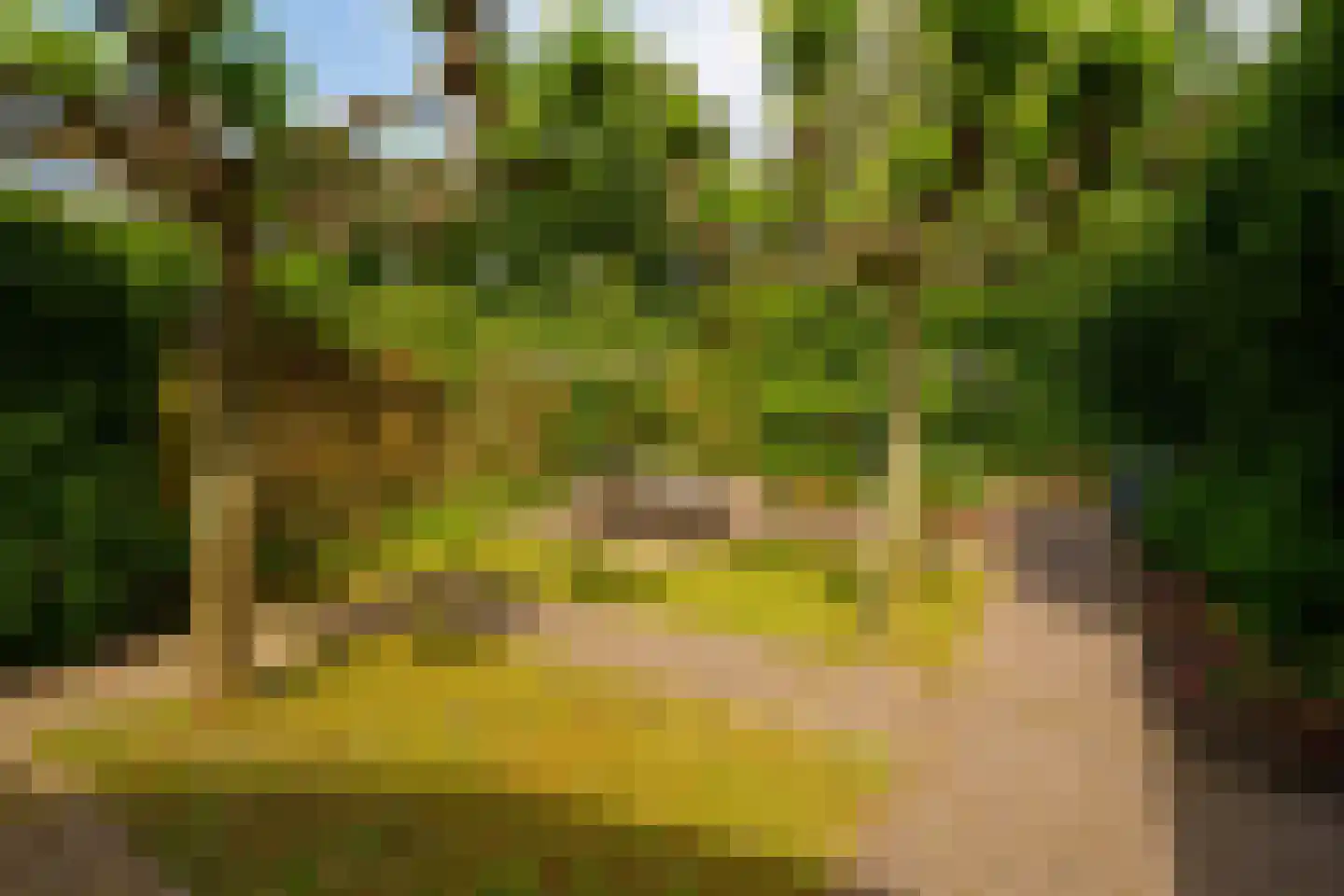 Toernooiveld 25 Almere thumbnail 33