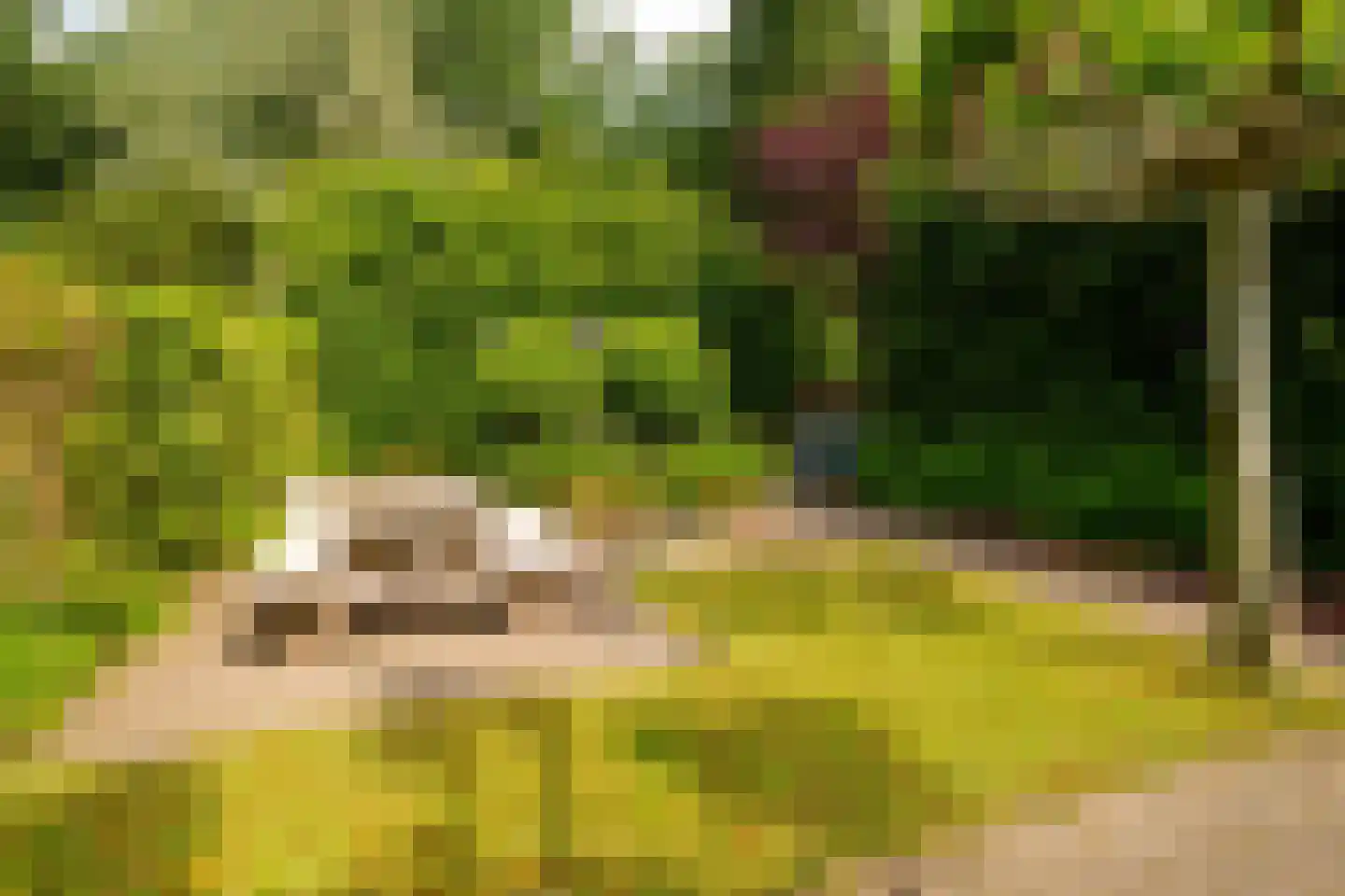 Toernooiveld 25 Almere thumbnail 34