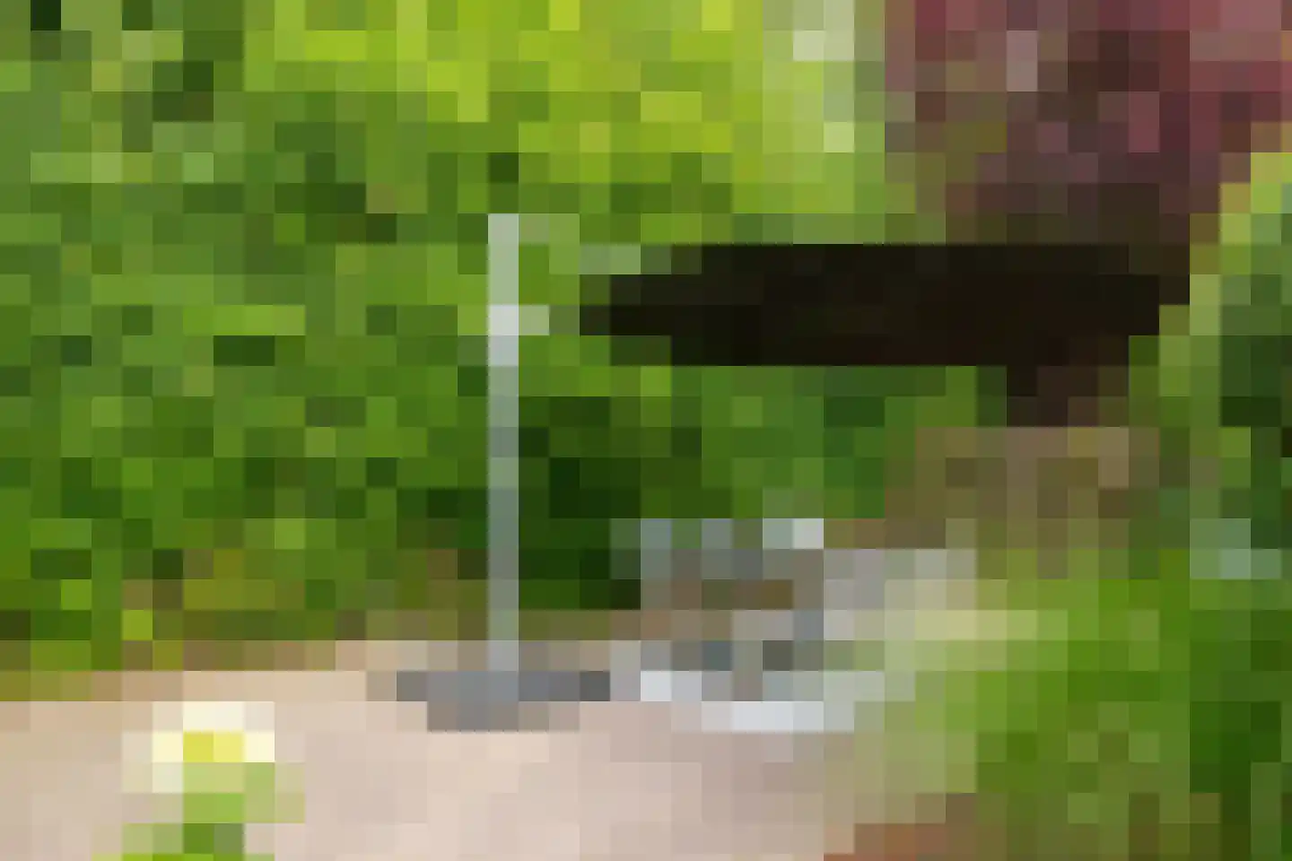 Toernooiveld 25 Almere thumbnail 36