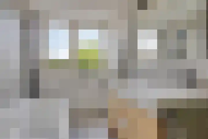 Toernooiveld 26 Etten-Leur thumbnail 24