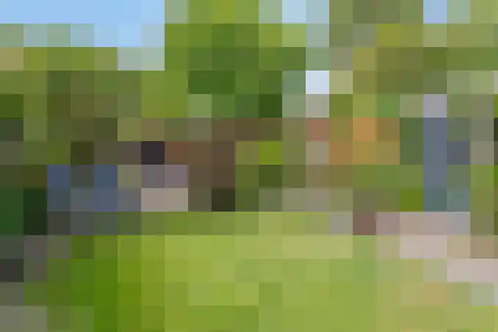Toernooiveld 26 Etten-Leur thumbnail 30