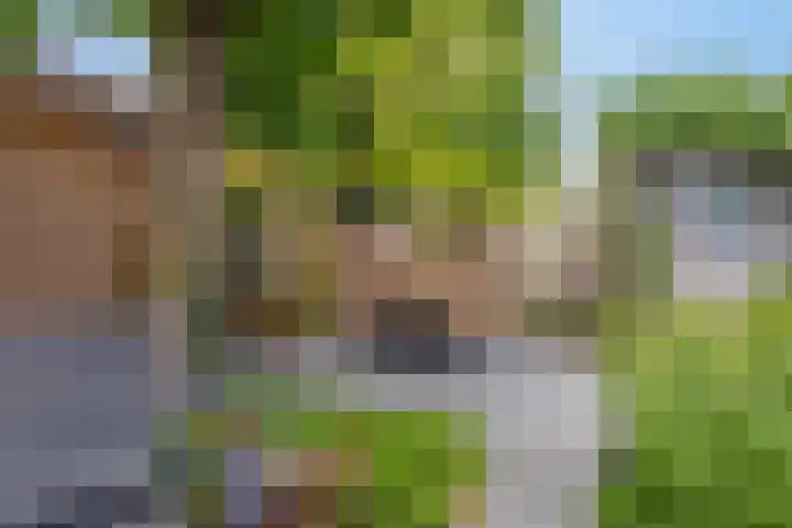 Toernooiveld 26 Etten-Leur thumbnail 31