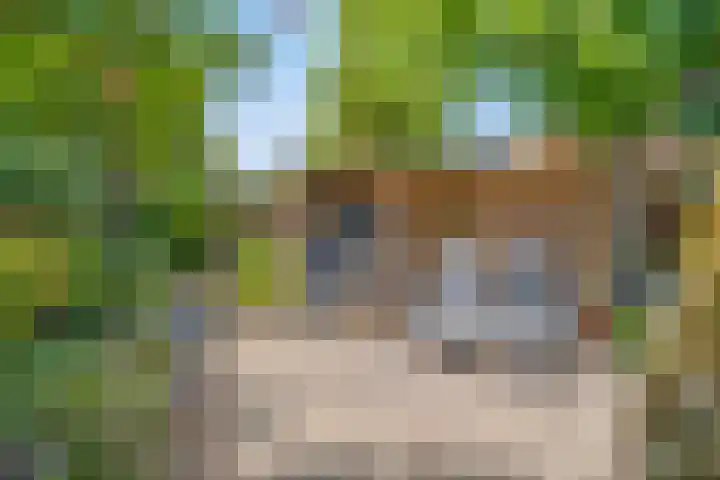 Toernooiveld 26 Etten-Leur thumbnail 32