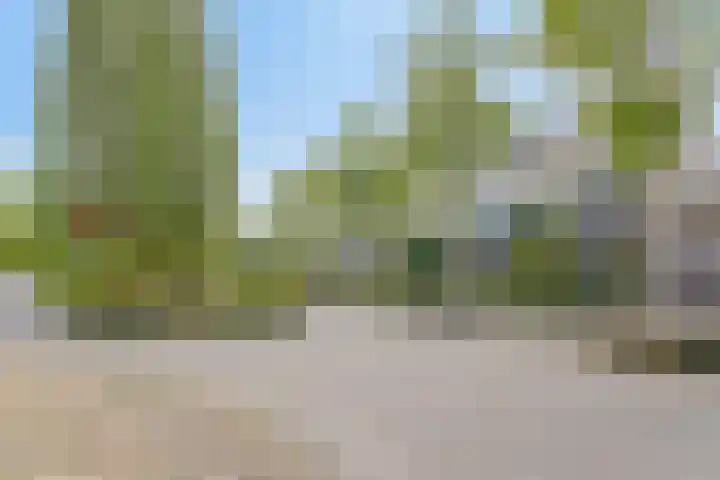 Toernooiveld 26 Etten-Leur thumbnail 39