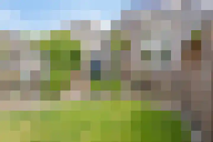 Toernooiveld 26 Etten-Leur thumbnail 4