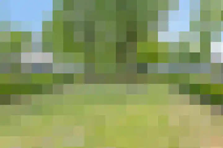 Toernooiveld 26 Etten-Leur thumbnail 40