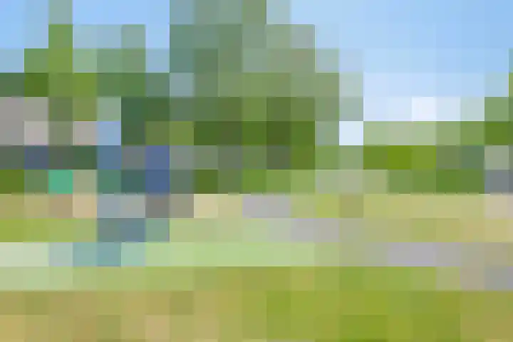 Toernooiveld 26 Etten-Leur thumbnail 41