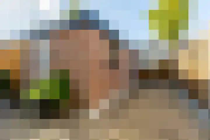 Toernooiveld 6 Oostvoorne thumbnail 31