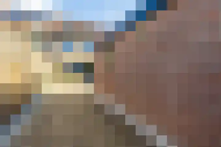 Toernooiveld 6 Oostvoorne thumbnail 32