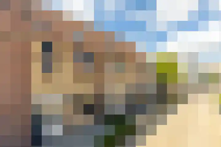 Toernooiveld 6 Oostvoorne thumbnail 33
