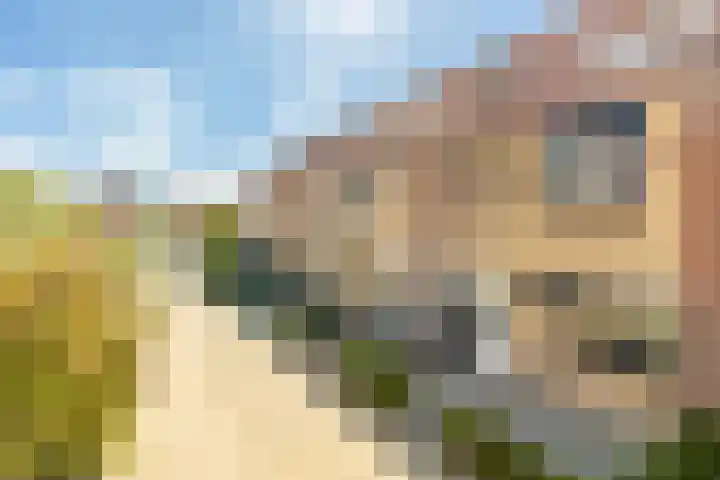 Toernooiveld 6 Oostvoorne thumbnail 34