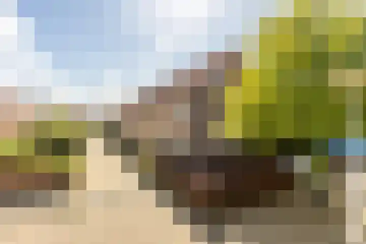 Toernooiveld 6 Oostvoorne thumbnail 36
