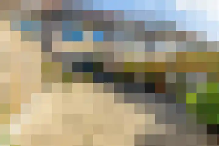 Toernooiveld 6 Oostvoorne thumbnail 4