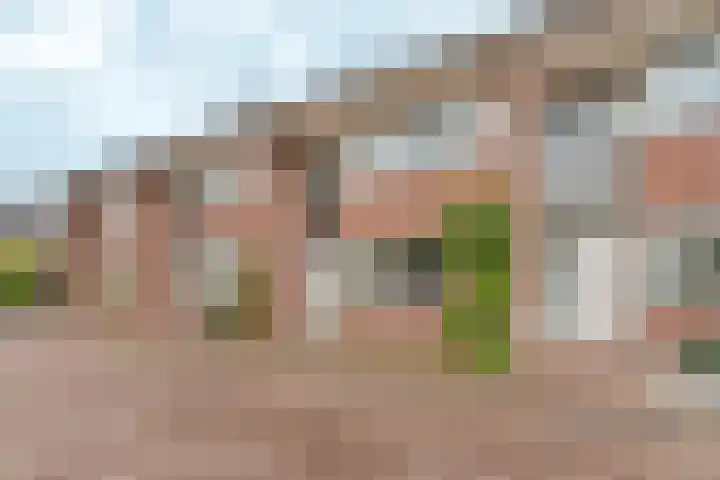 Toernooiveld 80 Almere