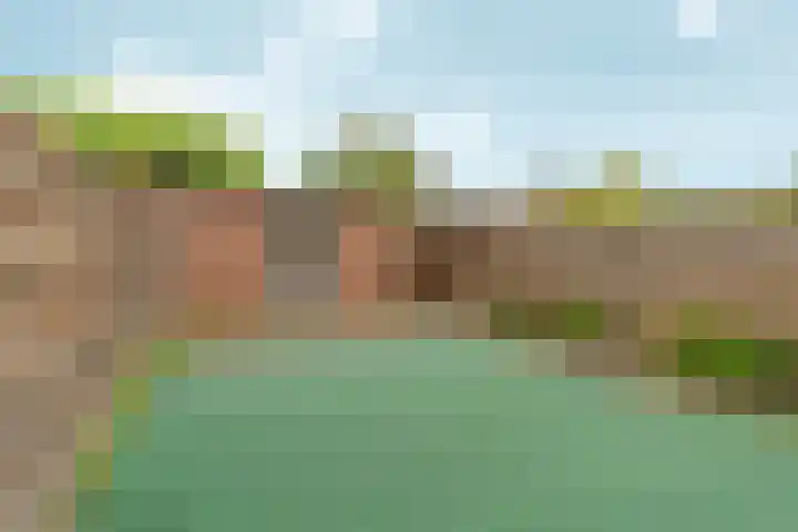Toernooiveld 80 Almere thumbnail 28