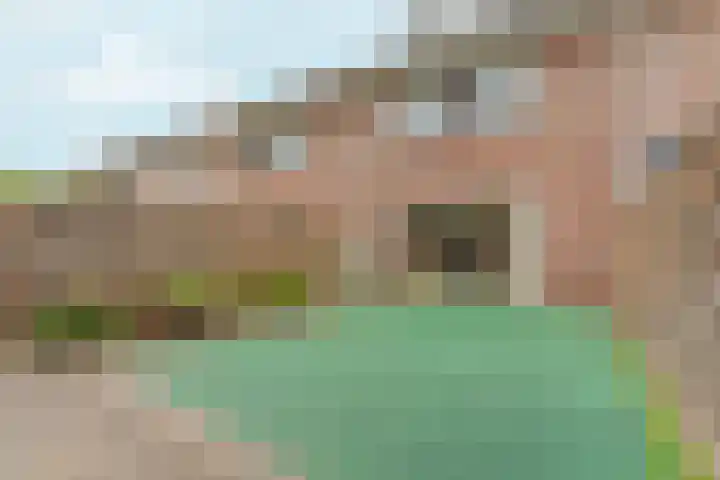 Toernooiveld 80 Almere thumbnail 29