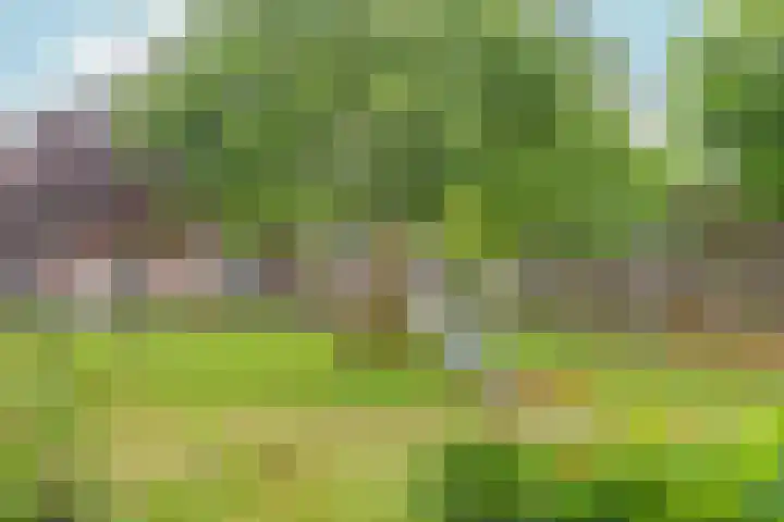 Toernooiveld 80 Almere thumbnail 32