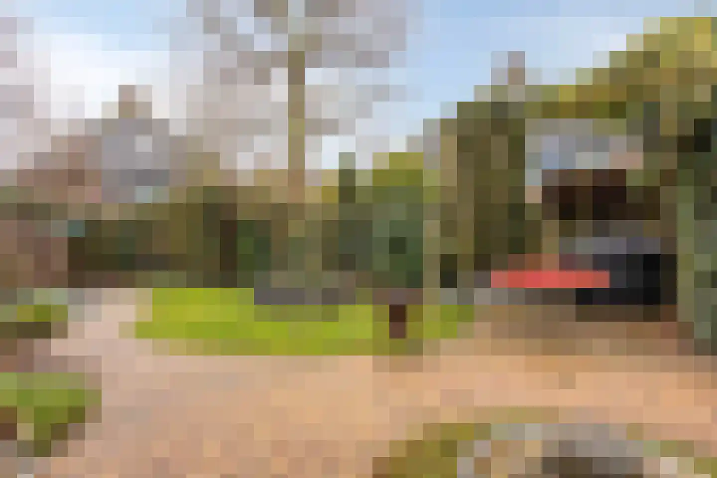 Toernooiveld 95 Almere thumbnail 39