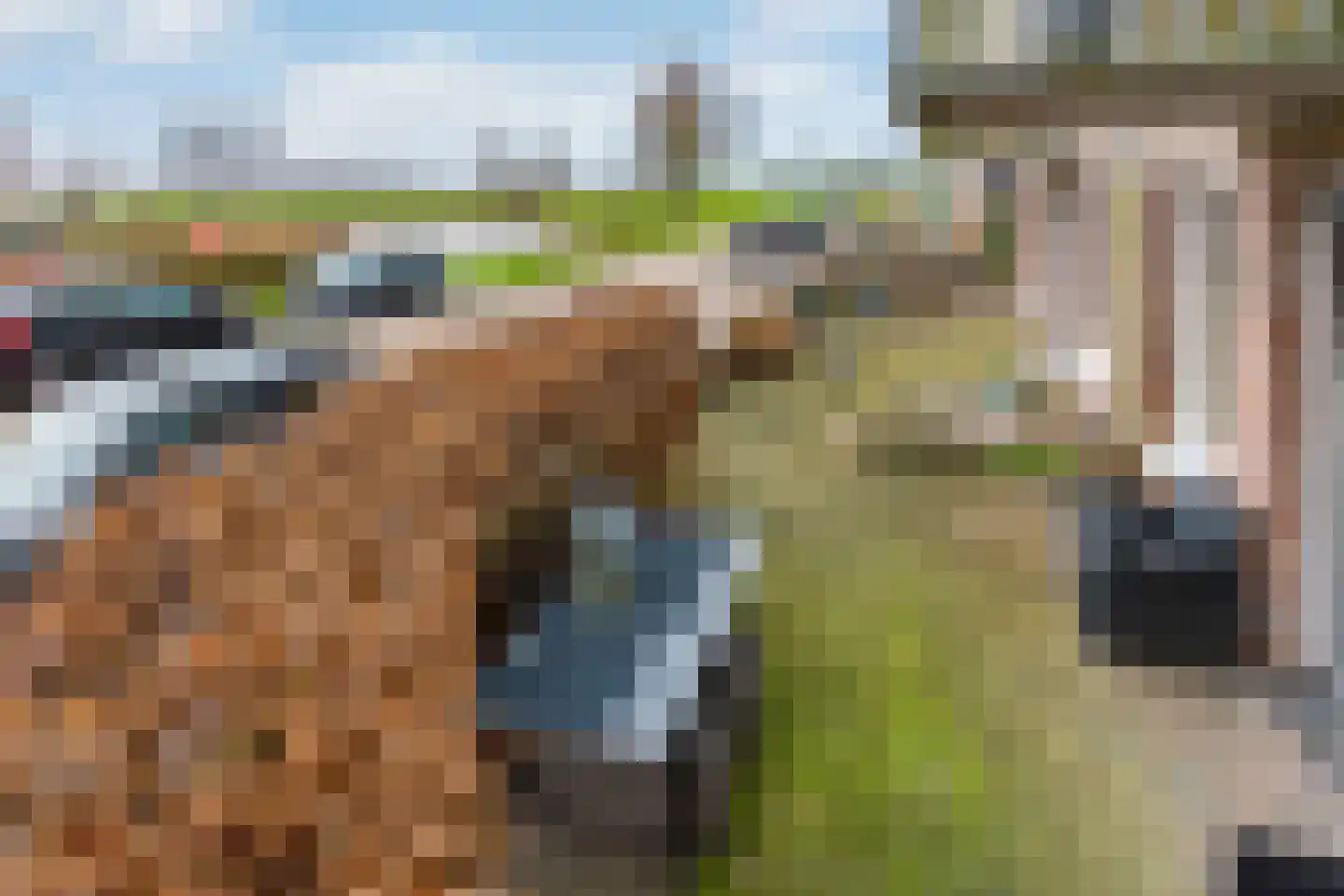 Toertocht 6 Baambrugge thumbnail 23
