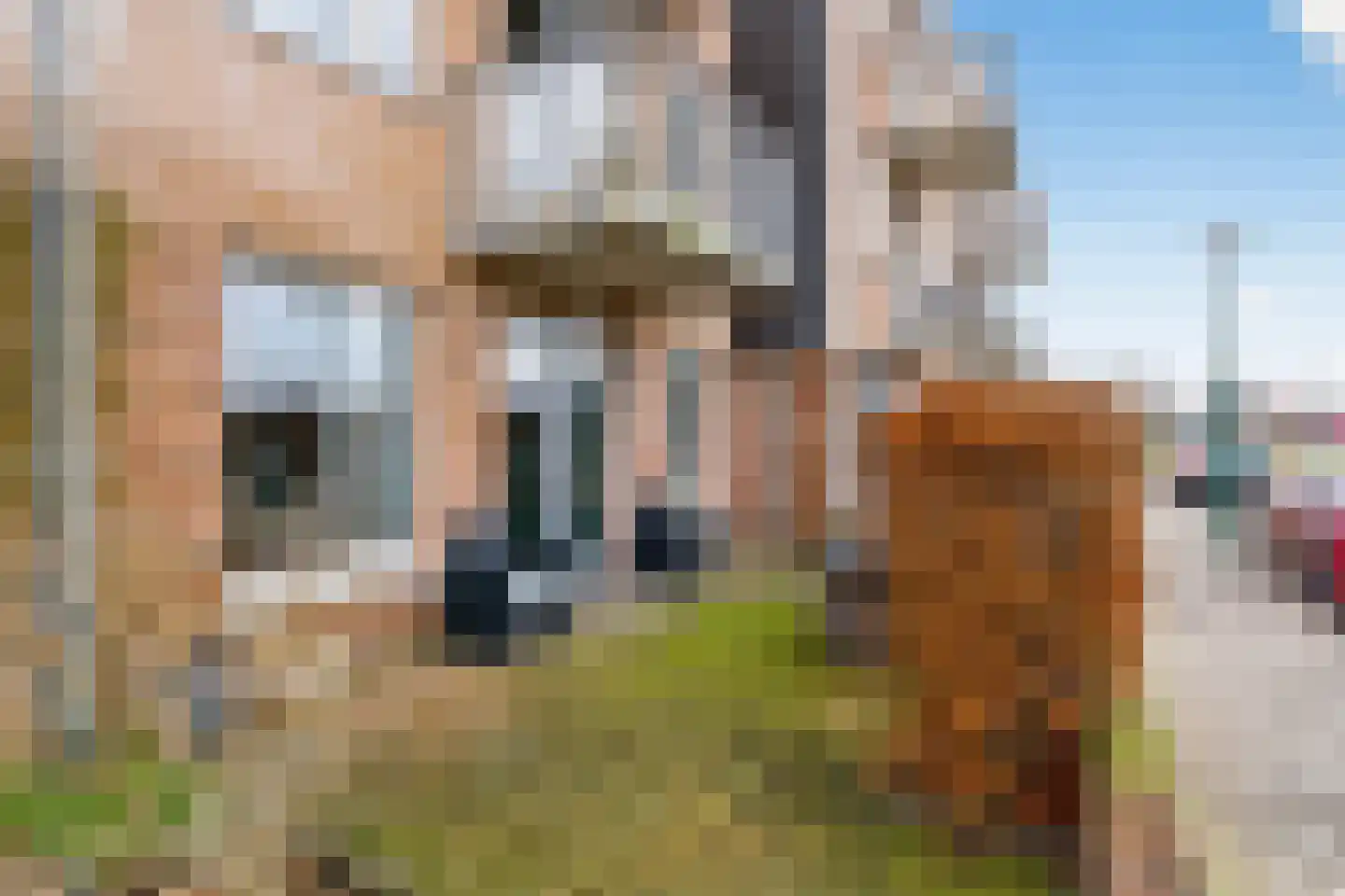Toertocht 6 Baambrugge thumbnail 25