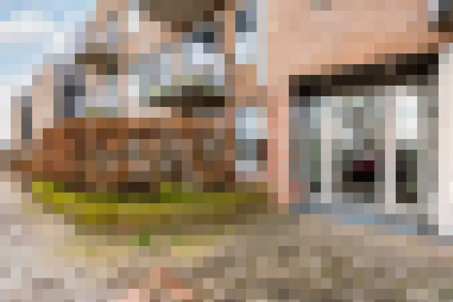 Toertocht 6 Baambrugge thumbnail 28