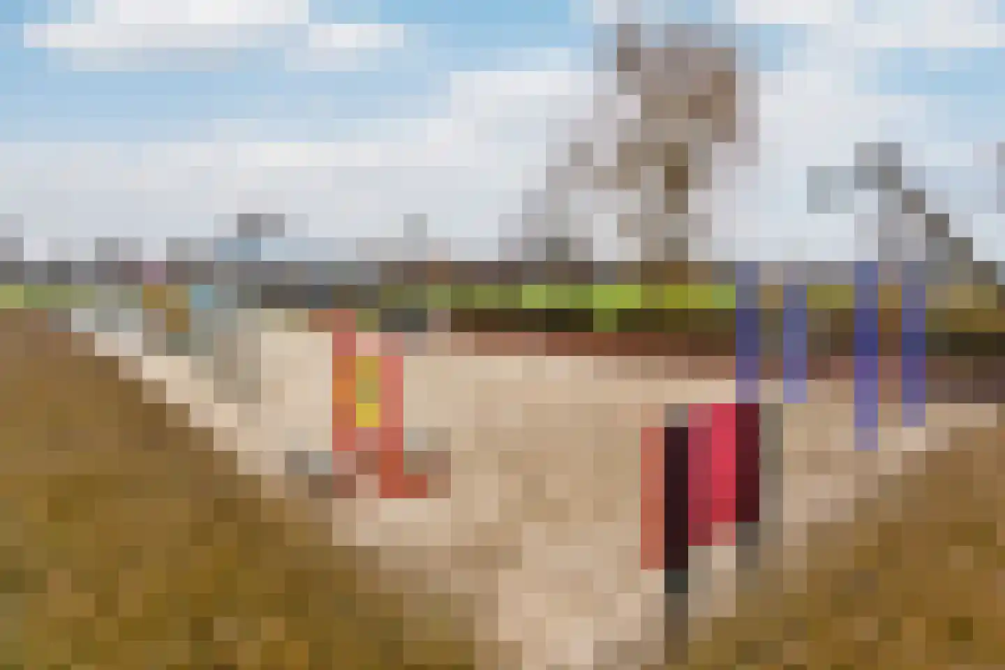 Toertocht 6 Baambrugge thumbnail 30