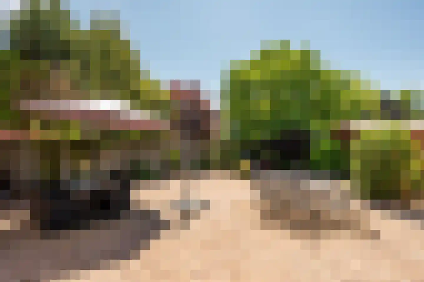 Toetimmerke 5 Uden thumbnail 10