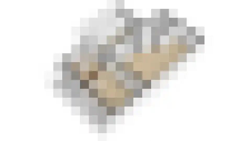 Toetimmerke 5 Uden thumbnail 28