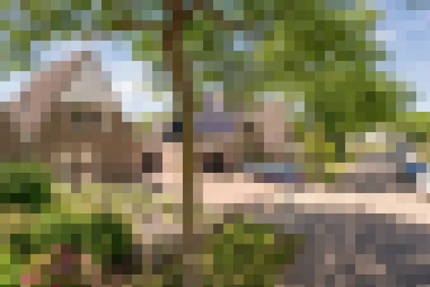Toetimmerke 5 Uden thumbnail 4