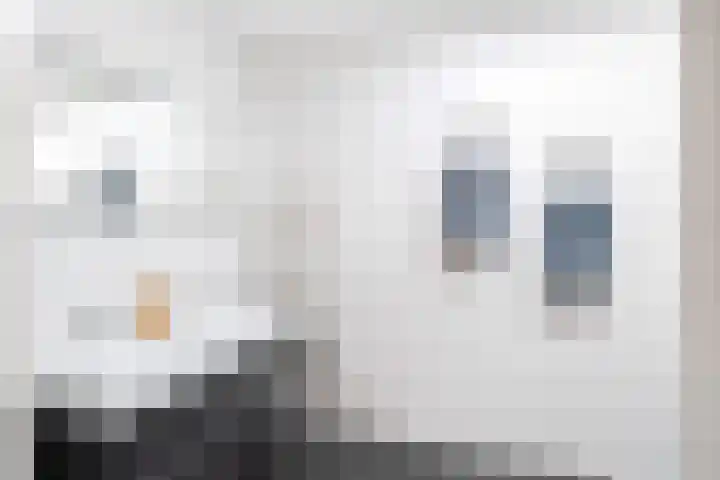 Toetsenbordpad 103 Amersfoort thumbnail 15