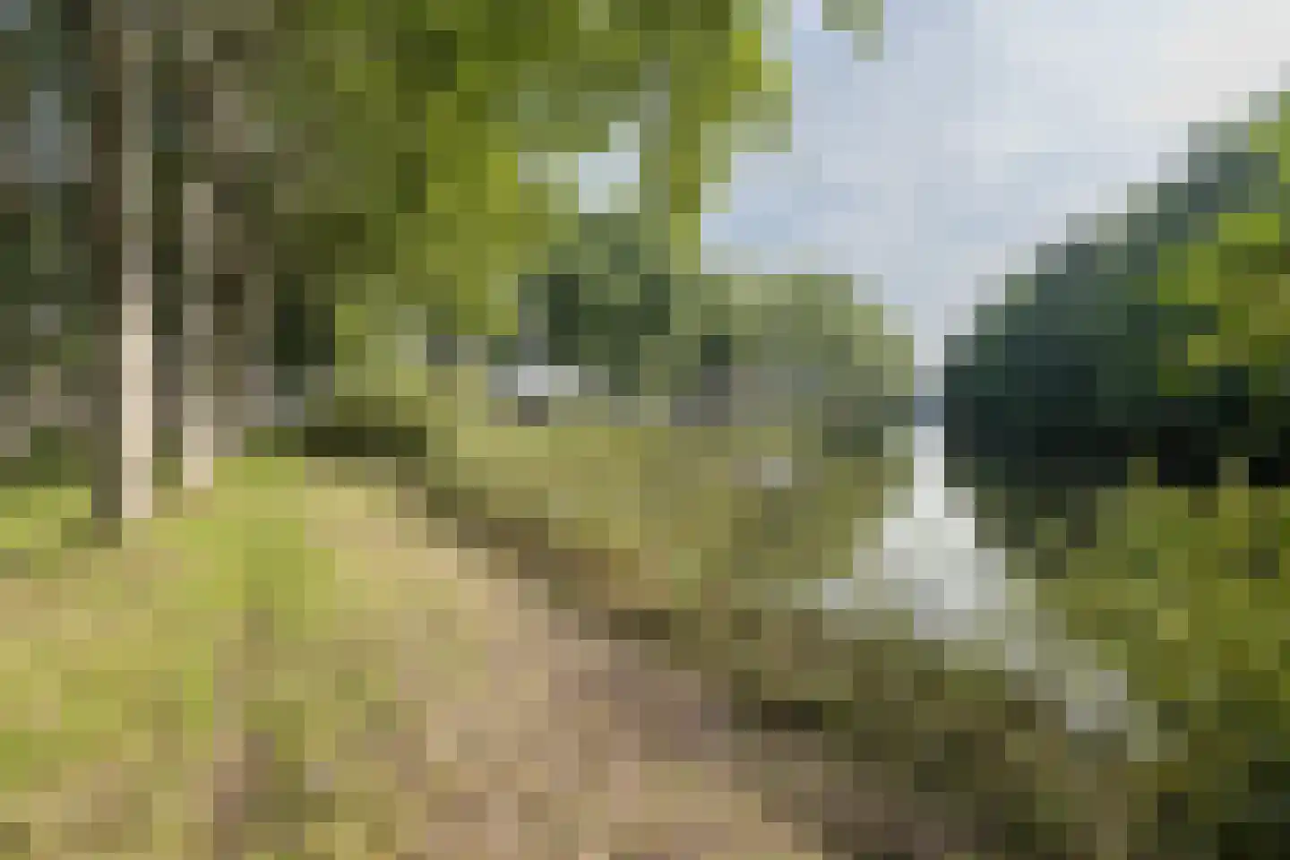 Toetsenbordpad 131 Amersfoort thumbnail 44