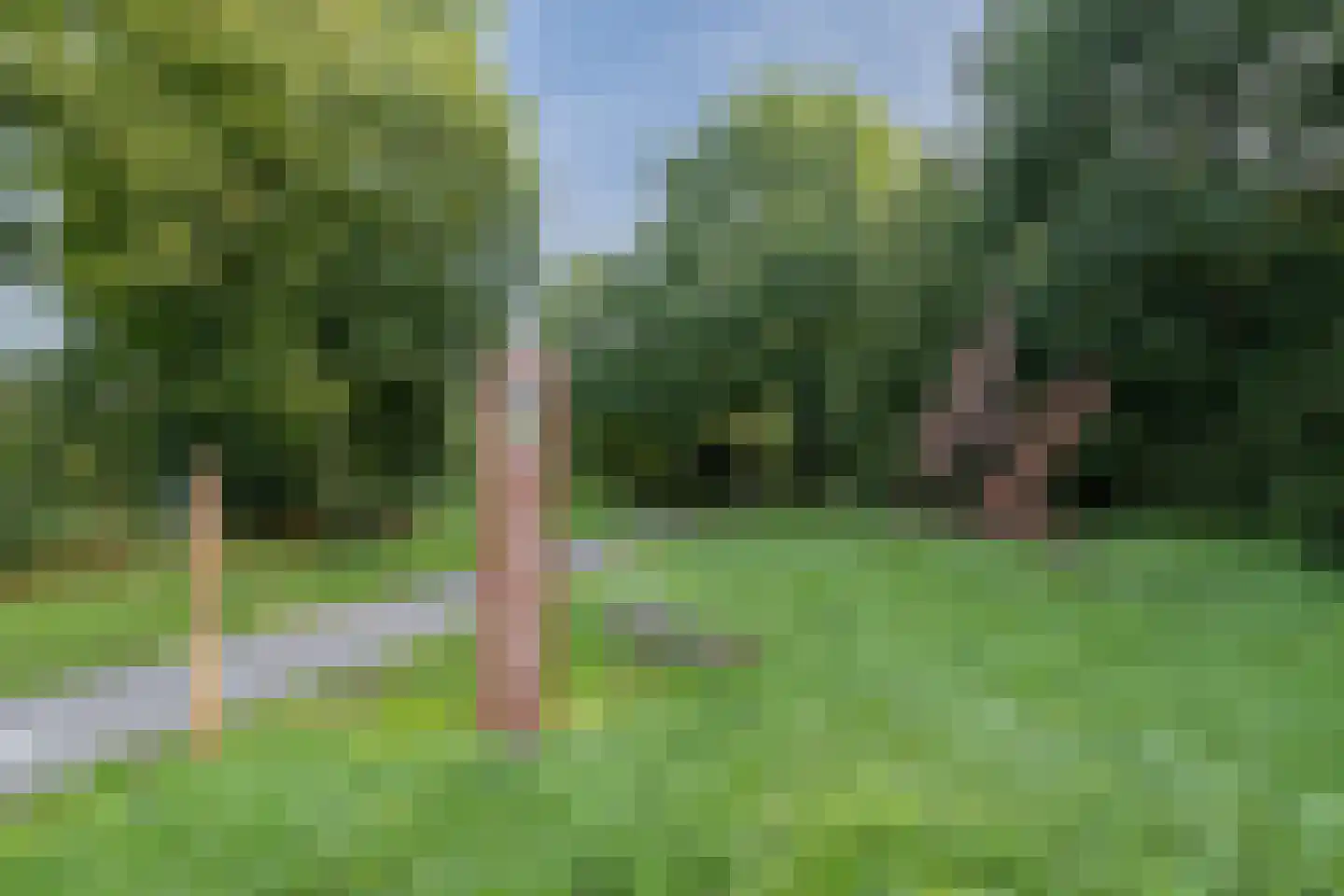 Toetsenbordpad 131 Amersfoort thumbnail 45