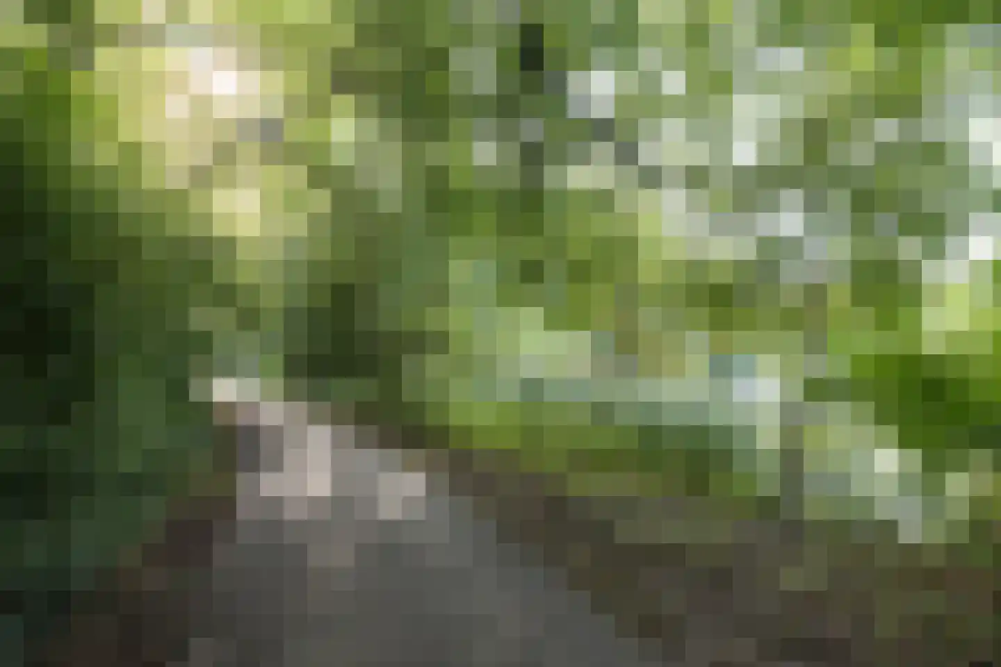 Toetsenbordpad 131 Amersfoort thumbnail 47