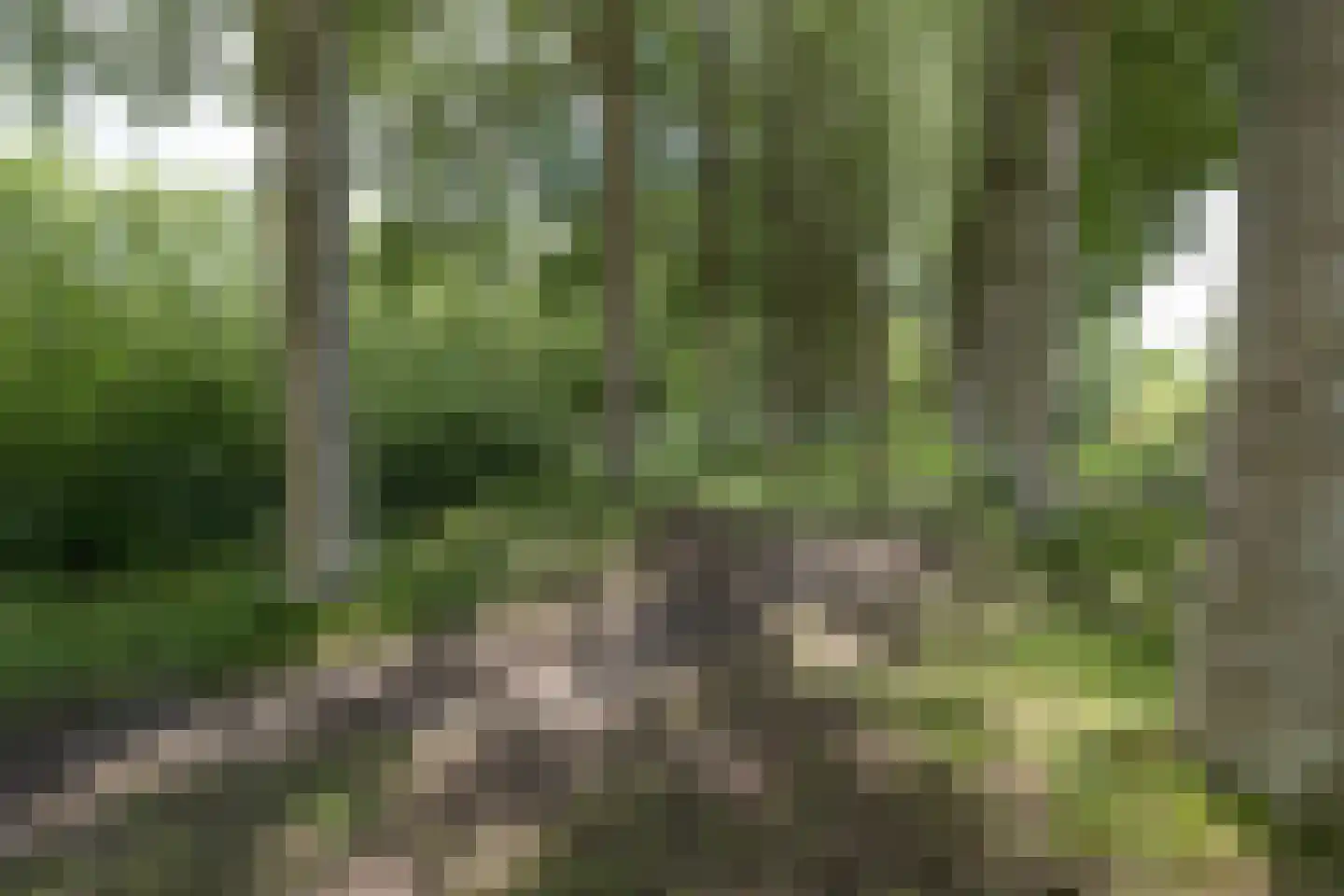 Toetsenbordpad 131 Amersfoort thumbnail 67