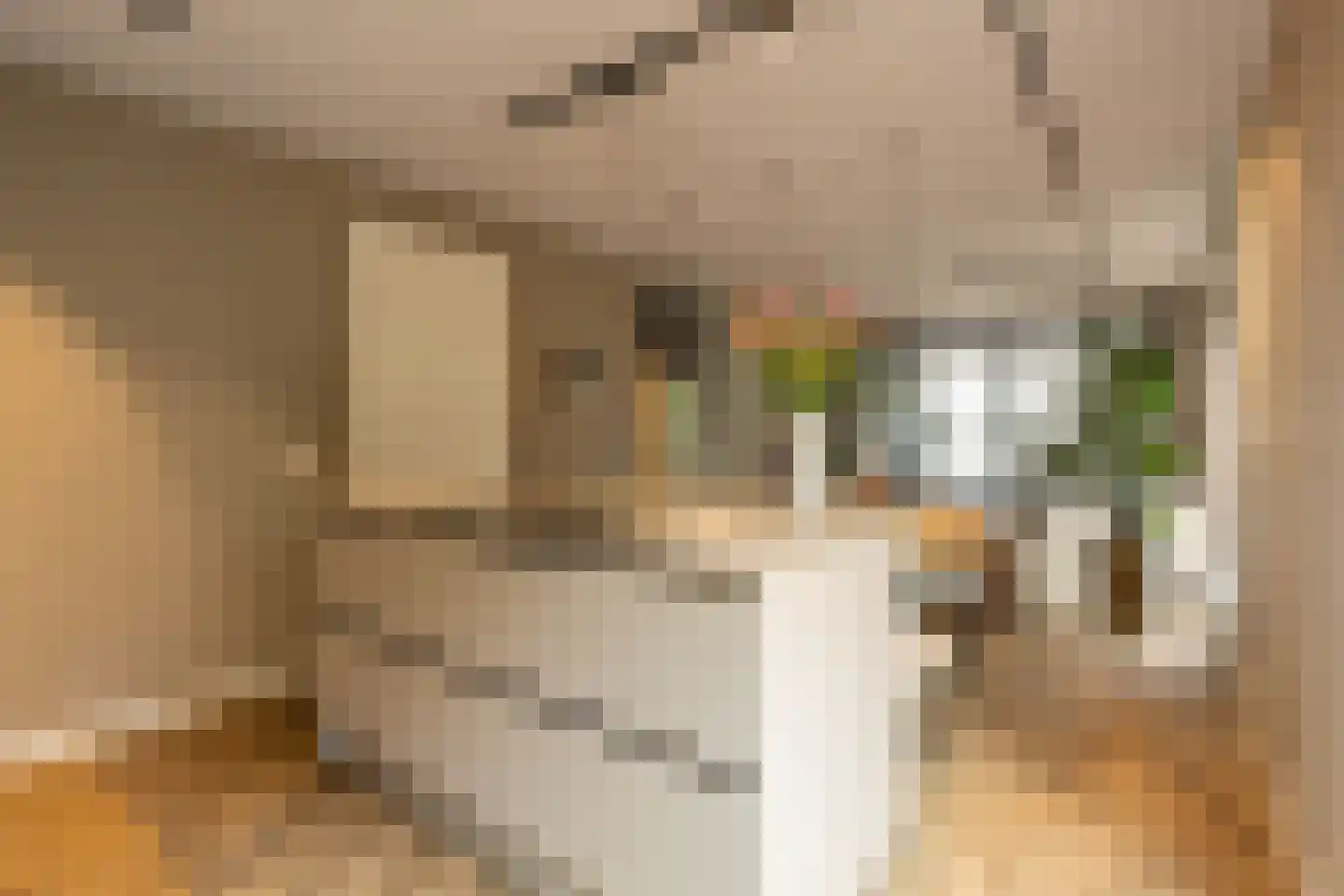 Toetsenbordpad 39 Amersfoort thumbnail 14
