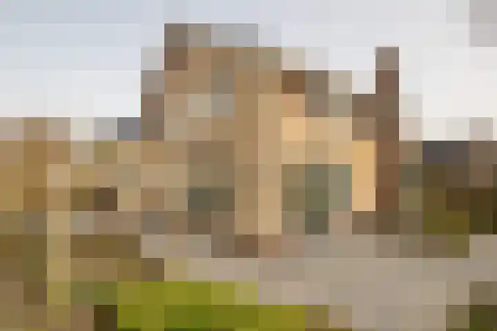 Toevlucht 8 b Spanbroek thumbnail 4