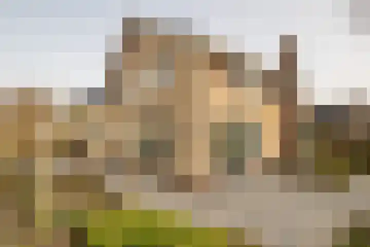 Toevlucht 8 b Spanbroek thumbnail 50