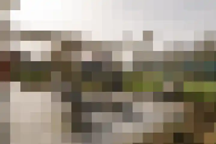 Toevlucht 8 b Spanbroek thumbnail 51