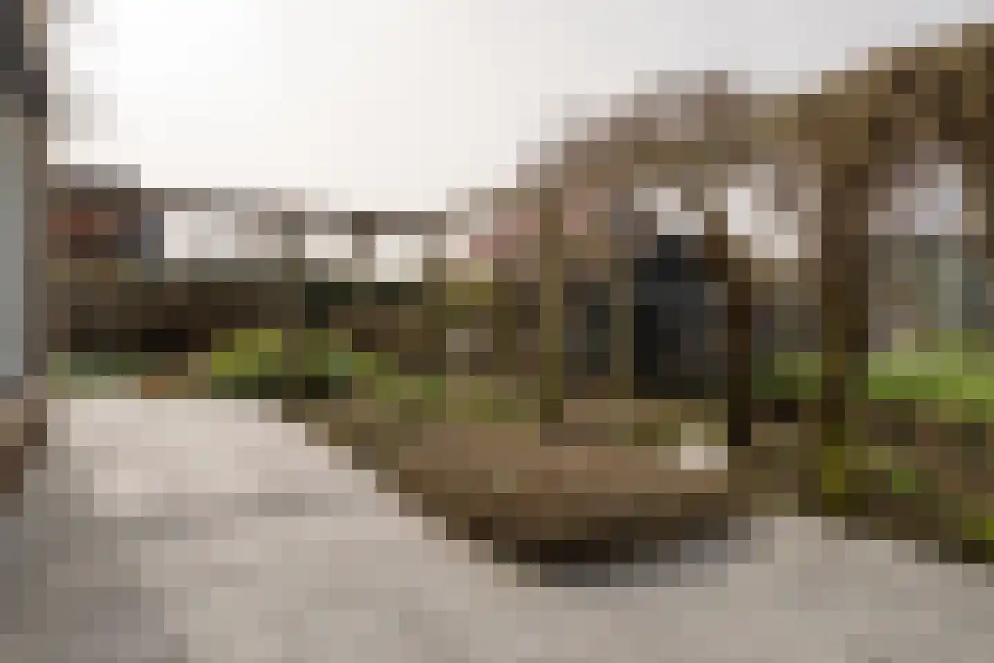 Toevlucht 8 b Spanbroek thumbnail 52