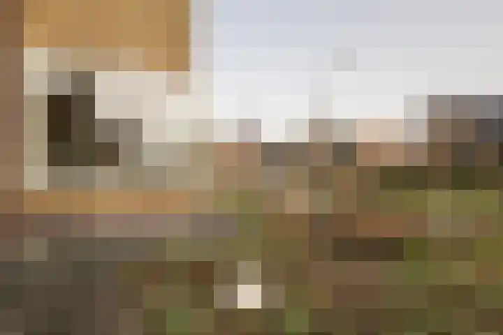 Toevlucht 8 b Spanbroek thumbnail 55