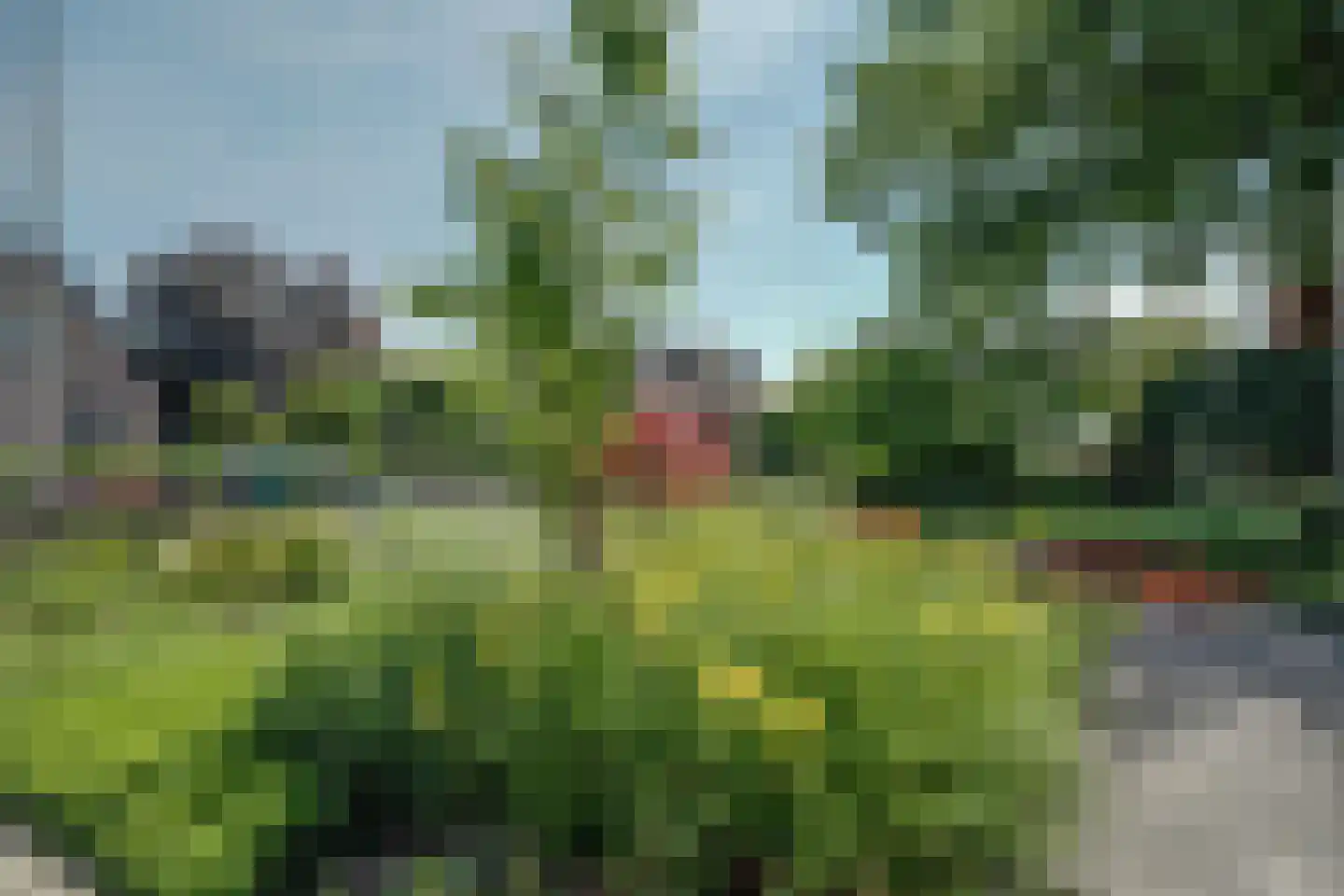 Toevlucht 8 b Spanbroek thumbnail 60