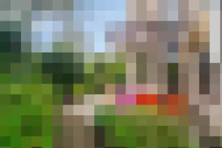 Toevluchtstraat 37 Badhoevedorp thumbnail 33